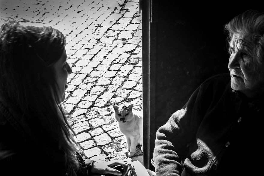 Chú mèo ngồi bên ngoài cửa lắng nghe.