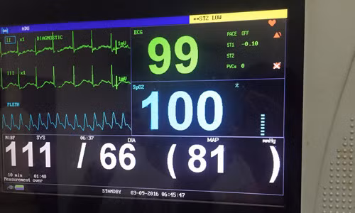 Nghe si Han Van Tinh dau hieu sinh ton tam on dinh-Hinh-2