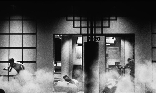 Tiet lo gay “soc” vu bat coc con tin lon nhat the gioi-Hinh-3