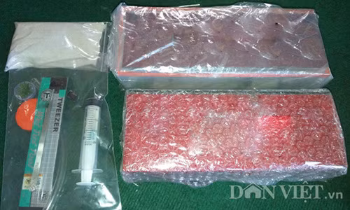 Choi kien kieng doc mo hinh gay to mo o Viet Nam-Hinh-6