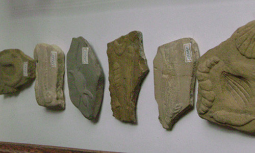 10 tro dua khoa hoc noi tieng trong lich su