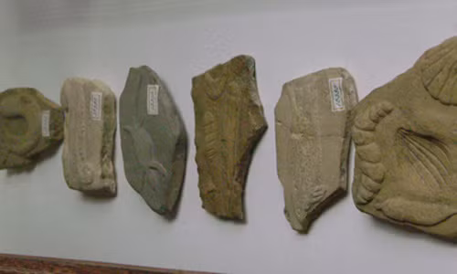 10 tro dua khoa hoc noi tieng trong lich su