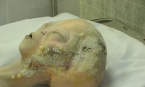 10 tro dua khoa hoc noi tieng trong lich su-Hinh-6