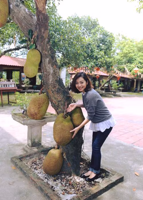 Dịp lễ Vu Lan vừa qua, Jennifer Phạm đến chùa cầu bình an. Trên trang cá nhân, cô đã khoe hình ảnh bên cây mít trong chùa kèm chú thích: “Mít ơi, ta sắp to bằng ngươi rồi đó mít à”. 