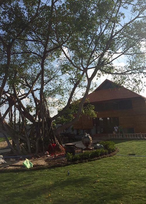 Anh nha tho To nghiep tram ty sap hoan thien cua Hoai Linh-Hinh-4