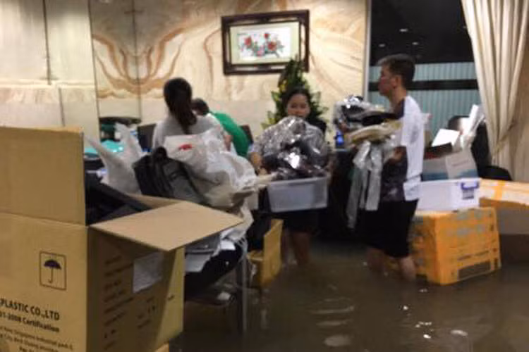 Khi hay tin nước đã tràn vào tầng hầm của biệt thự, "ông hoàng nhạc Việt" đã vội vã trở về nhà để di chuyển đồ đạc lên chỗ cao.