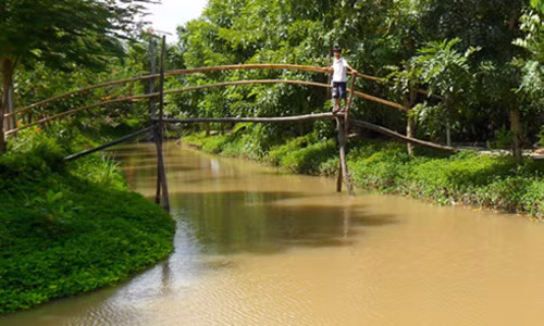 Chay lon o lang du lich Tien Giang, nhieu du khach hot hoang