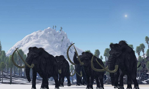 Nhung cuoc tuyet chung ky la nhat trong lich su-Hinh-3