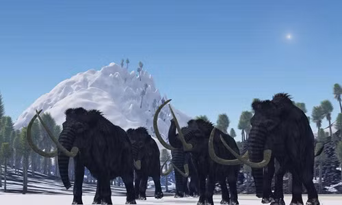 Nhung cuoc tuyet chung ky la nhat trong lich su-Hinh-3