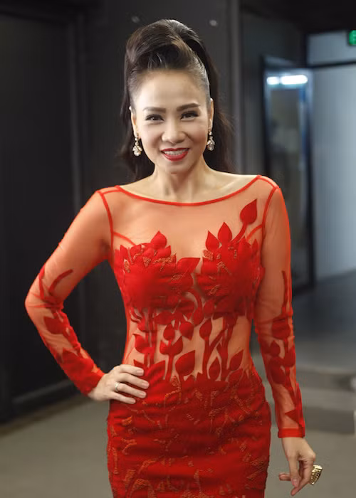 Chong Thu Minh tan tinh cham soc vo o hau truong-Hinh-2