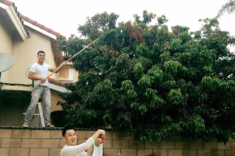 Trên trang cá nhân, Thanh Thảo còn tiết lộ hình ảnh Tiến Đoàn và Dương Triệu Vũ "hái trộm vải" trước buổi tiệc tối.