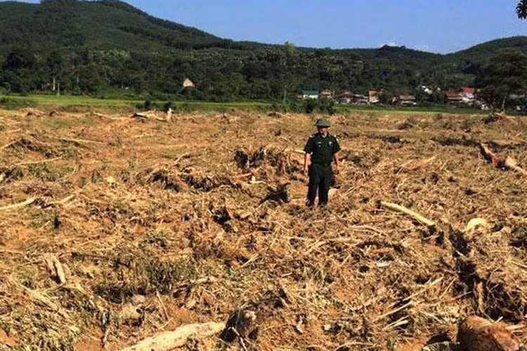 Bộ đội biên phòng tỉnh Thanh Hóa và các lực lượng khác vẫn đang tích cực tìm kiếm những người mất tích còn lại.