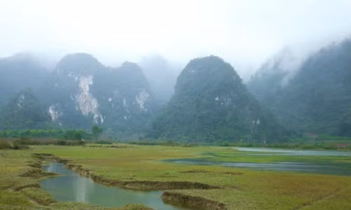 Loi khung tu Kong Skull Island den quay tai Viet Nam-Hinh-2
