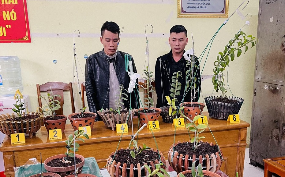 Thanh Hoa: Dot nhap nha dan, trom lan dot bien tien ty