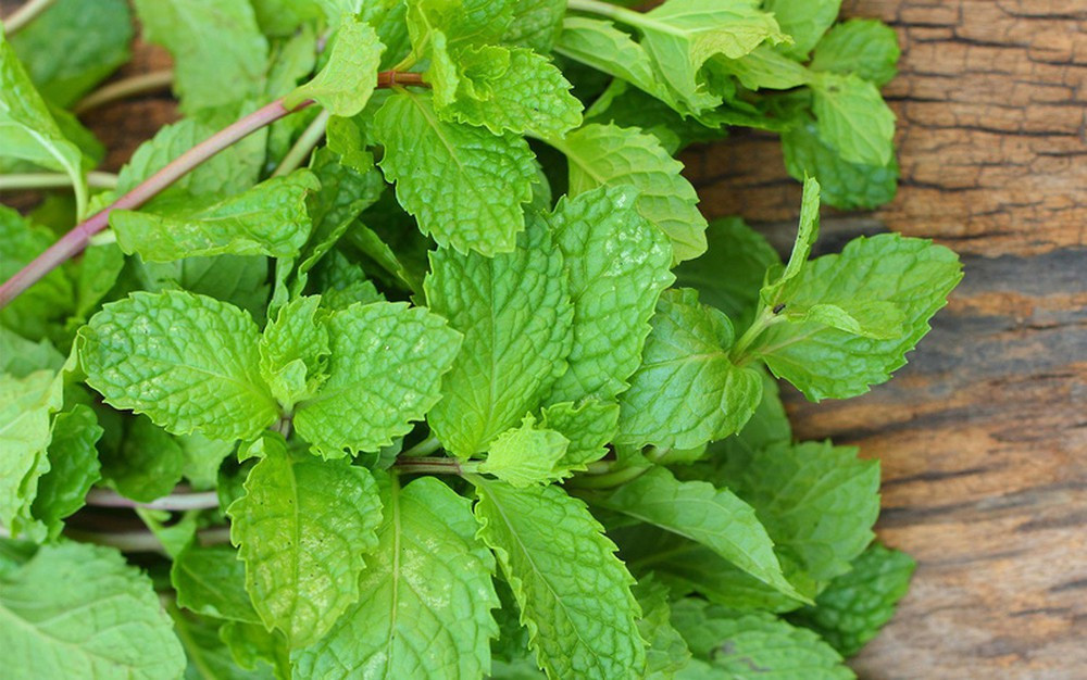 Nhung lieu phap tu nhien giup giam cholesterol