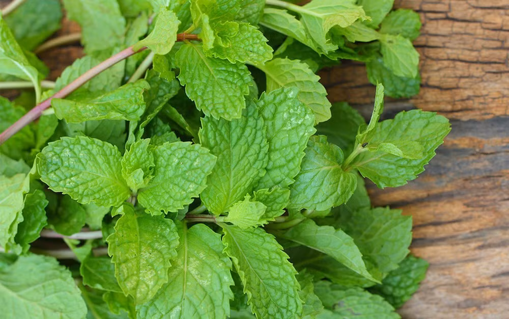 Nhung lieu phap tu nhien giup giam cholesterol