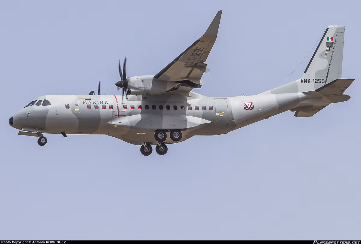 C-295W là phiên bản mở rộng của dòng máy bay vận tải C-295 với cánh phụ ở đầu cánh chính, nâng cấp động cơ đem lại hiệu suất bay tốt hơn. Cơ bản thì C-295W vẫn sử dụng khung thân gốc phiên bản tiêu chuẩn máy bay vận tải C-295M xuất khẩu tới Việt Nam và nhiều nước khác.