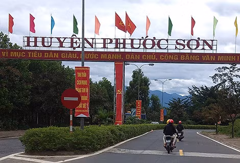 Chuyen ma mi ve sam Ngoc Linh tram trieu dai gia san lung-Hinh-2