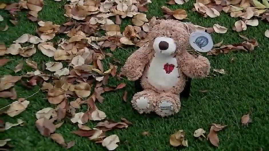 Con gấu Desai được tặng trong một sự kiện trao đổi quà.