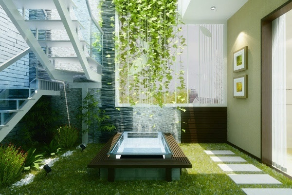 Cây leo cúc tần Ấn Độ Cây leo cúc tần thường trồng ở ban công, rủ bóng xuống sân tạo khoảng không gian mát mẻ và xanh tươi cho nhà phố. Tuy nhiên, loại cây này có thể trồng trong chậu, treo ở ban công, ở bếp hay cửa sổ các không gian có nhiều ánh sáng. Cây lớn lên sẽ phát triển cành rũ xuống chậu tạo điểm nhấn duyên dáng cho ngôi nhà.