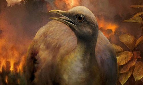 Tổ tiên của loài chim đã từng phải di chuyển xuống mặt đất để thích nghi với điều kiện tự nhiên.