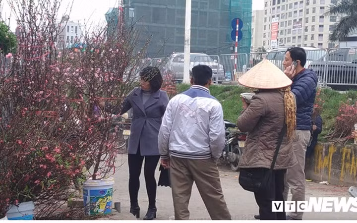 Chỉ còn hơn 10 ngày nữa là tới Tết Nguyên đán, nhiều ngày nay, tại vườn đào Nhật Tân, Hà Nội, người dân bắt đầu tấp nập đổ về sắm đào Tết (Ảnh: VTC News)