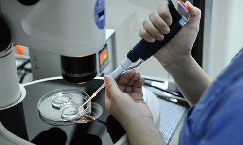 Rac roi vi con giong... hang xom