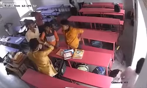 Ảnh cắt từ clip.