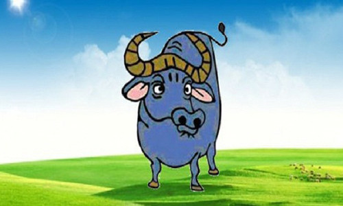 Nhìn bề ngoài, tuổi Sửu hiền lành vậy thôi nhưng đầu óc họ tính toán lắm nhé! (Ảnh minh họa)