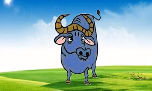 Nhìn bề ngoài, tuổi Sửu hiền lành vậy thôi nhưng đầu óc họ tính toán lắm nhé! (Ảnh minh họa)