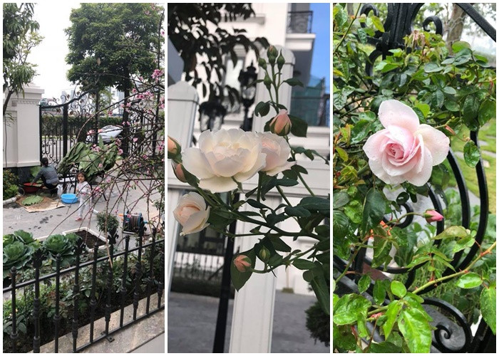 Thông qua những cú lia máy nhanh trong clip, có thể thấy rằng căn biệt thự vô cùng khang trang với sân vườn rộng rãi, những luống cỏ xanh được chăm sóc cẩn thận, lối đi lát đá trắng cùng ban công sắt được uốn cầu kỳ tinh tế.