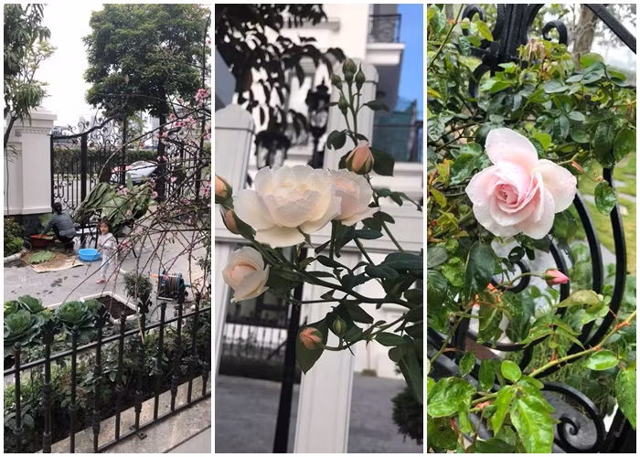 Thông qua những cú lia máy nhanh trong clip, có thể thấy rằng căn biệt thự vô cùng khang trang với sân vườn rộng rãi, những luống cỏ xanh được chăm sóc cẩn thận, lối đi lát đá trắng cùng ban công sắt được uốn cầu kỳ tinh tế.