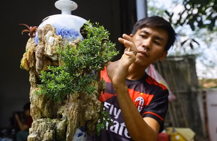 Những cây bonsai tí hon được trồng trong tiểu cảnh hòn non bộ có giá khoảng chục triệu đồng. "Loại bonsai này được giới cây cảnh thích lắm nên cứ có hàng mới là có người tìm mua. Cây bonsai tí hon đắt nhất tôi từng bán có giá 4.000 USD. Phải ai đam mê nghệ thuật này mới hiểu được giá trị và sẵn sàng bỏ ra số tiền lớn để mua", anh Vinh chia sẻ. (Ảnh: Vnexpress)