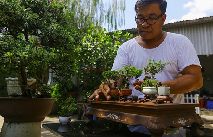 Từ năm 15 tuổi, anh Lâm Ngọc Vinh (48 tuổi, huyện Hóc Môn, TP HCM) biết đến bonsai siêu nhỏ khi đọc báo thấy ở Hoàng gia Nhật Bản có trồng bốn cây. Nghĩ mình có thể làm được, anh mày mò tìm hiểu và tự trồng theo cách của riêng mình. (Ảnh: Vnexpress)