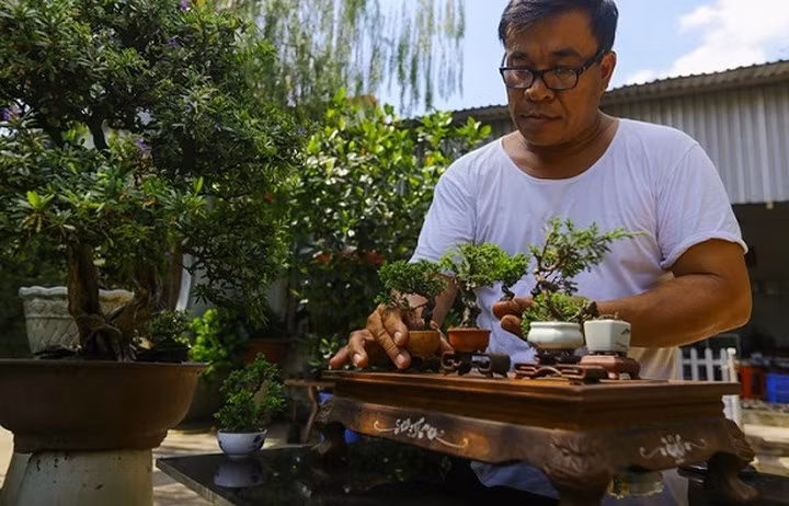 Từ năm 15 tuổi, anh Lâm Ngọc Vinh (48 tuổi, huyện Hóc Môn, TP HCM) biết đến bonsai siêu nhỏ khi đọc báo thấy ở Hoàng gia Nhật Bản có trồng bốn cây. Nghĩ mình có thể làm được, anh mày mò tìm hiểu và tự trồng theo cách của riêng mình. (Ảnh: Vnexpress)