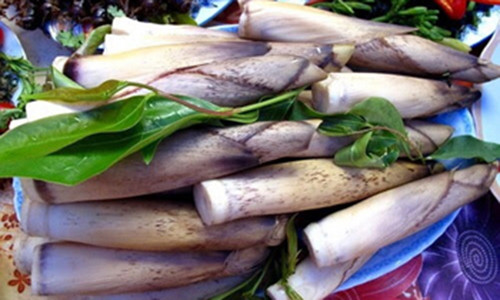 Từ tháng 2 đến tháng 6 là mùa măng đắng ở Điện Biên.