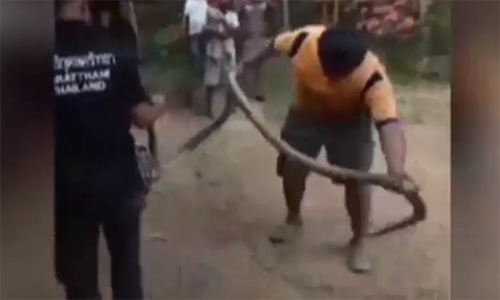 Tá hỏa phát hiện "quái vật" khổng lồ ẩn nấp trong nắp xe.