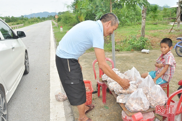 Nhiều người khách qua đường chọn mua nấm tràm tại xã Kỳ Hợp - Kỳ Anh.