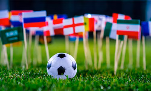 Dịch vụ này mở ra nhằm giúp những fan hâm mộ World Cup không bỏ phí những ngày nghỉ lễ quý giá của mình mà vẫn được theo dõi các trận đấu.