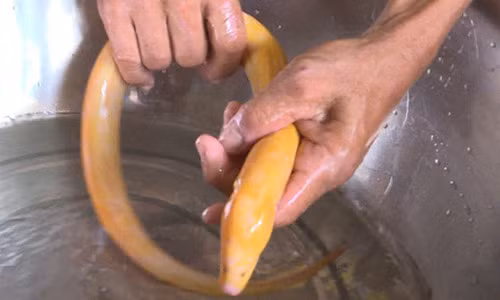 Lu ve bat duoc luon vang, khong dam an, cho lam kieng