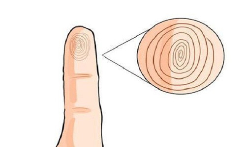 Xem duong chi tay tren ngon ut biet ngay van menh ve gia