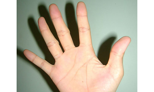 Nhin ke ho ban tay biet ngay tuong lai sang hen