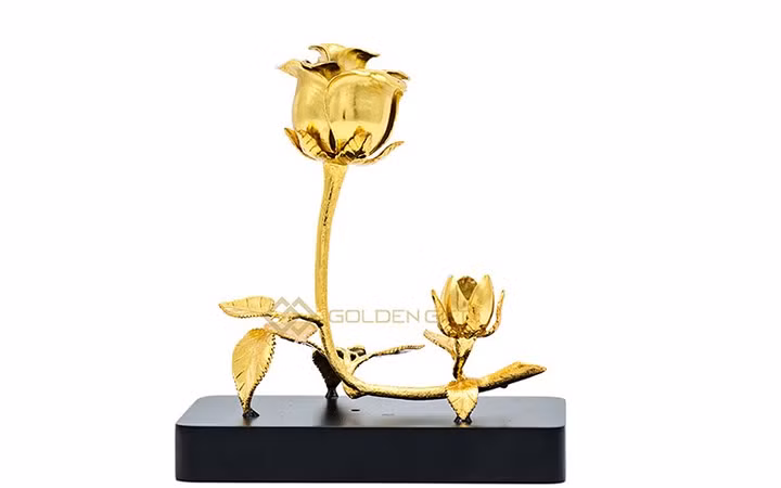 Bông hồng vàng dạng nụ và bông nở (Ảnh: quavang)