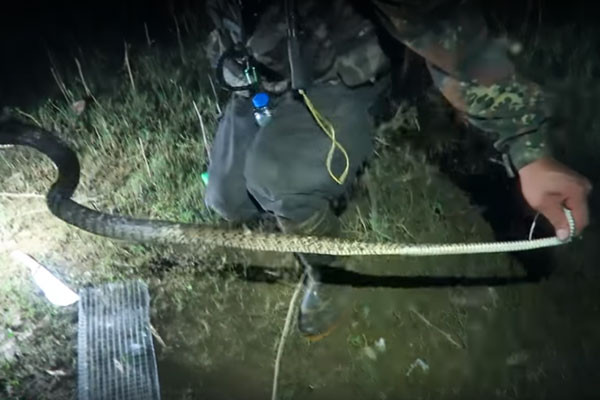 Mua lu o An Giang: On lanh dem di san ran nuoc tran dong-Hinh-2