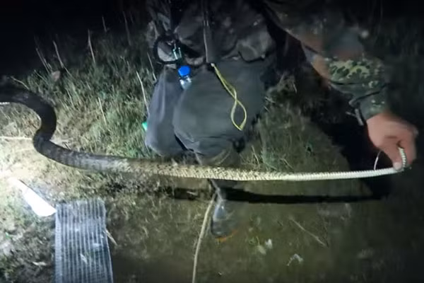 Mua lu o An Giang: On lanh dem di san ran nuoc tran dong-Hinh-2