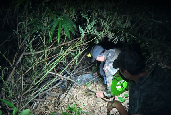 Mua lu o An Giang: On lanh dem di san ran nuoc tran dong