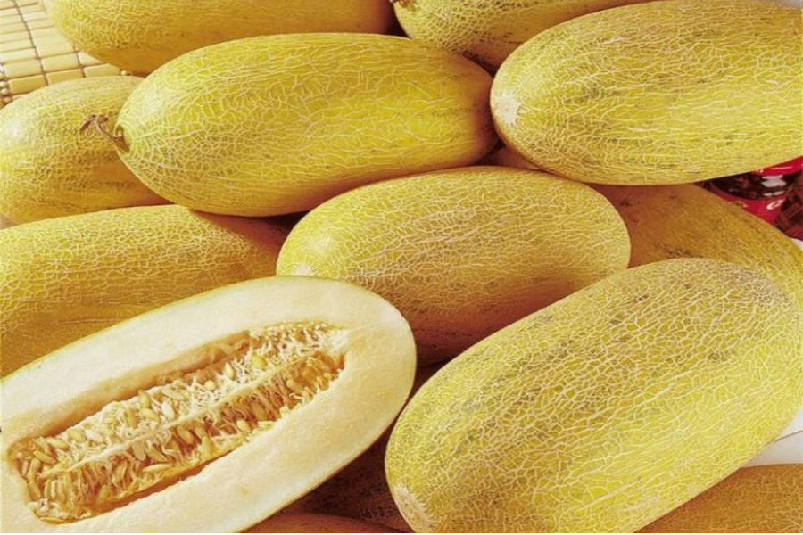 Dưa lưới vàng Trung Quốc được nhập về Việt Nam quanh năm.