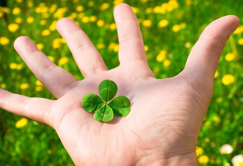 Top 3 con giap cu mo mat ra la gap may man-Hinh-2