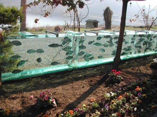 Bể cá cảnh trước giờ luôn là một lựa chọn tuyệt vời để nâng tầm đẳng cấp cho căn nhà của bạn. Thông thường, mọi người sẽ đặt bể cá trang trọng ở phòng khách, hoặc nếu cá tính hơn thì có thể thiết kế bể cá ngay gần giường nằm để tạo không gian thư giãn. Tuy nhiên, xây bể cá khổng lồ để làm…hàng rào bao quanh nhà thì chưa ai từng thử nghiệm, trừ vị đại gia Thổ Nhĩ Kỳ dưới đây.