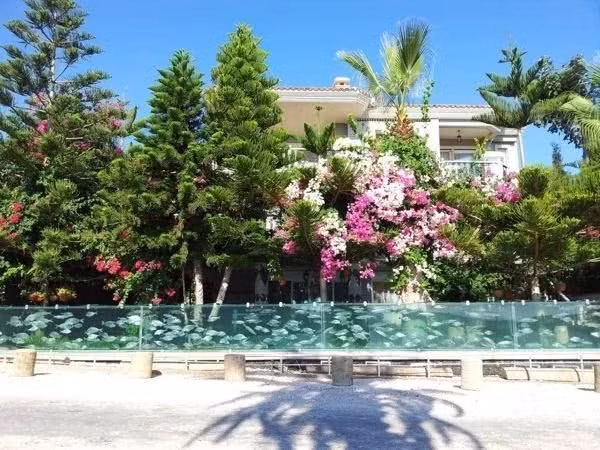 Vốn dĩ, căn biệt thự nguy nga của vị đại gia này được bao quanh bằng một lớp tường gạch xi măng kiên cố. Nhưng sau đó, ông đã phá bỏ lớp tường và thay vào đó là một bể thủy cung siêu dài. Trong bể có hơn 1.000 con cá tung tăng bơi lội mỗi ngày.